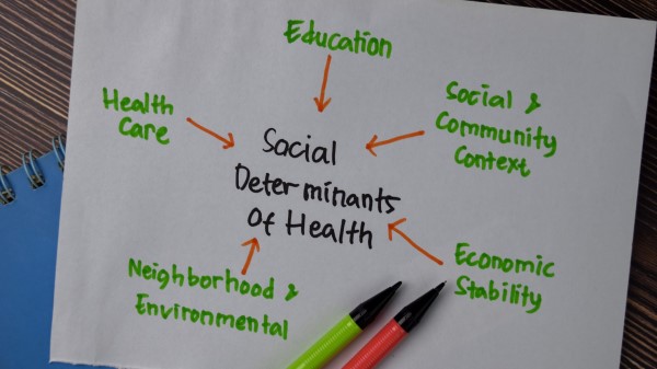 Social Dtrmnts Social Dtrmnts